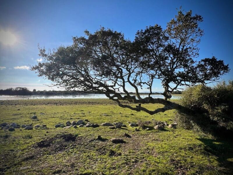 Tuili: Wild Giara Tour - FAQs