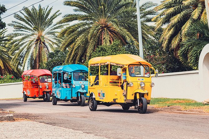 Tuk-Tuk Adventures Rainforest and Beach Hopping - Overview and Highlights