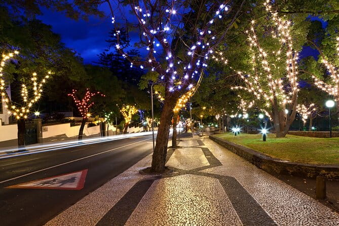 Tuk Tuk Funchal Magic Christmas Lights - Key points / Takeaways