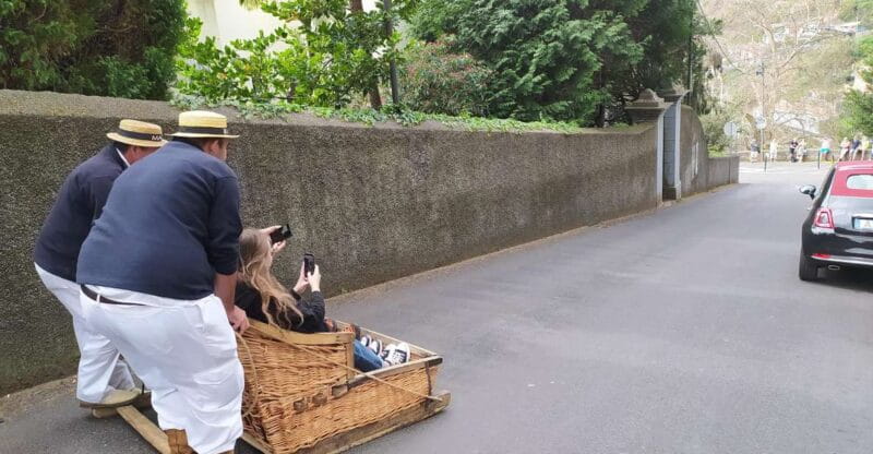 Tuk Tuk Monte Toboggan - Madeira Island - Who Should Consider This Tour?