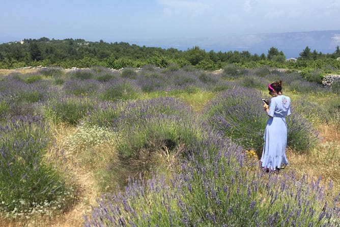 Tuk Tuk Sightseeing Tour of Hvar - FAQ