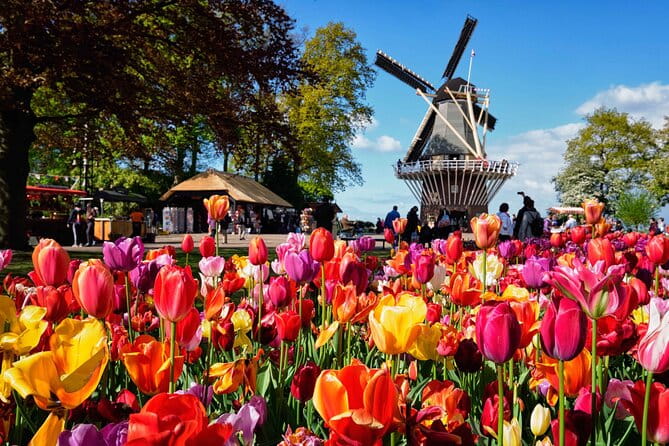 Tulip Paradise: Keukenhof Half-Day Private Tour - An In-Depth Review of the Keukenhof Half-Day Private Tour