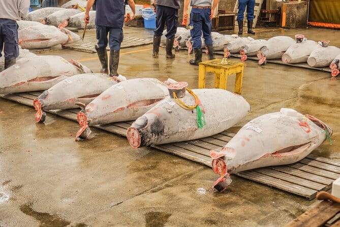 Tuna Auction in Toyosu and Tsukiji Fish Market Tour - Meeting and Pickup Information