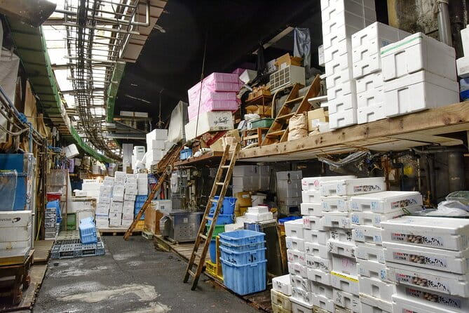 Tuna Auction in Toyosu and Tsukiji Fish Market Tour - Additional Considerations