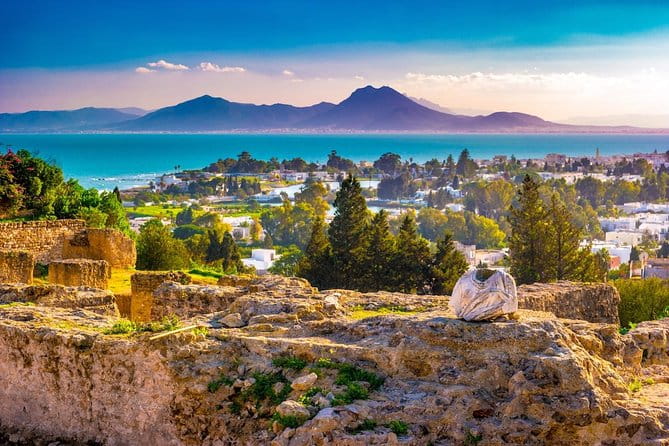 Tunis: Carthage, Bardo Museum, Sidi Bou Said and Medina Day Tour - Key Attractions