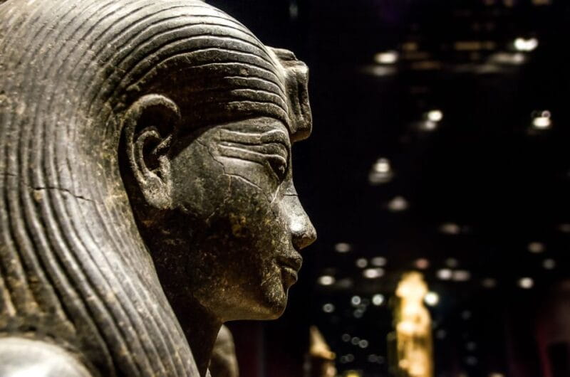 Turin: Egyptian Museum Skip-the-Line Private Guided Tour - Key Points / Takeaways
