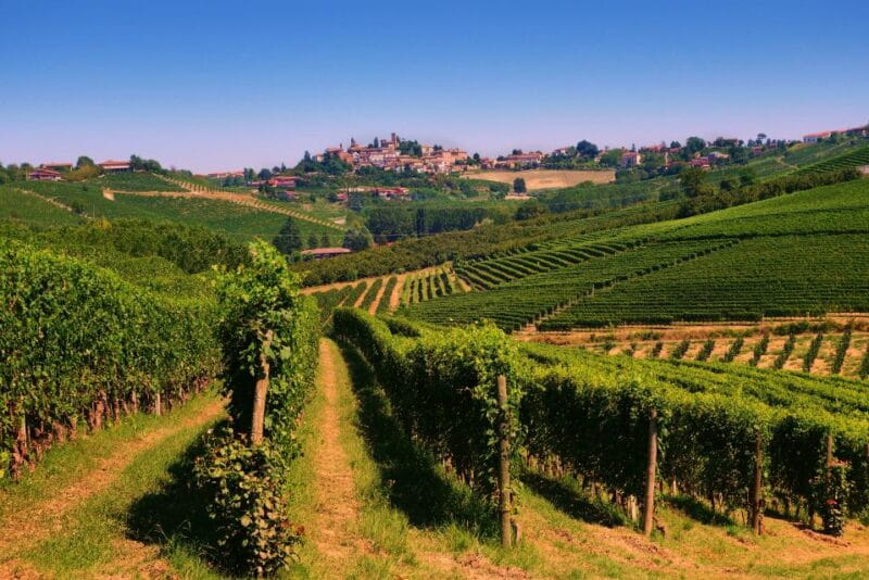 Turin: Langhe Wine Tour with Private Transfers and Lunch - Price and Logistics: How It All Comes Together
