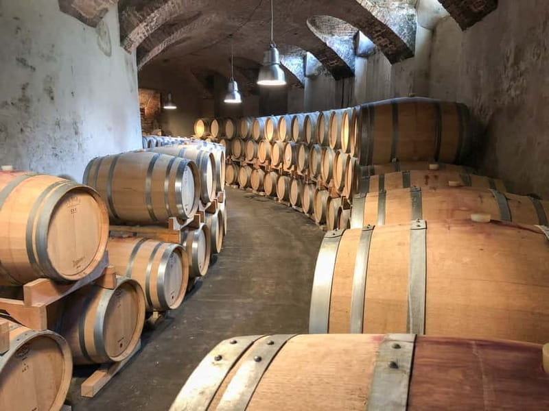 Turin: Langhe Wine Tour with Private Transfers and Lunch - Who Will Get the Most Out of This Experience?