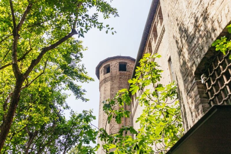 Turin: Palazzo Madama Museum of Ancient Art Entrance Ticket - Key points / Takeaways