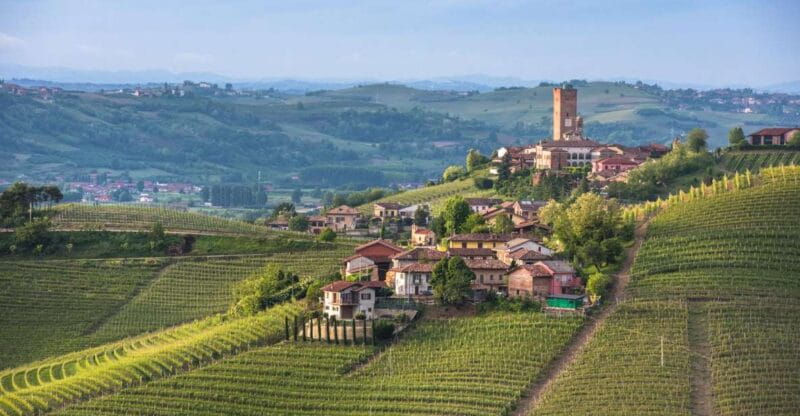 Turin: Private Barolo Wine Region Day Trip with Lunch - Key points / Takeaways
