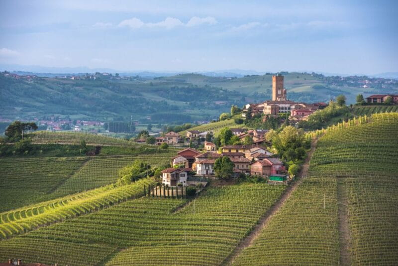 Turin: Private Barolo Wine Region Day Trip with Lunch - Price and Logistics: What You Need to Know