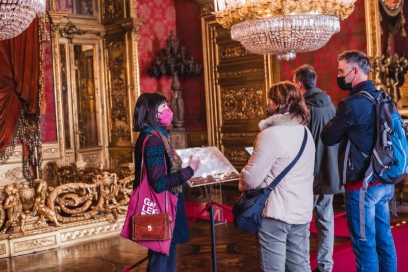 Turin: Savoy Royal Palace Small Group Guided Tour - Who Will Love This Tour?