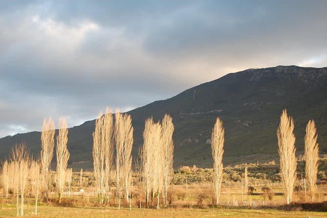 Turkish Villages and Local Life from Izmir - Exploring the Villages: A closer look at the itinerary