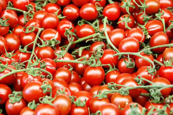 Turkish Villages and Local Life from Izmir - Final Thoughts: Is It Worth It?