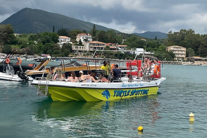 Turtle Spotting Cruise in Zakynthos on a Glass-Bottom Vessel - Who Should Consider This Tour?