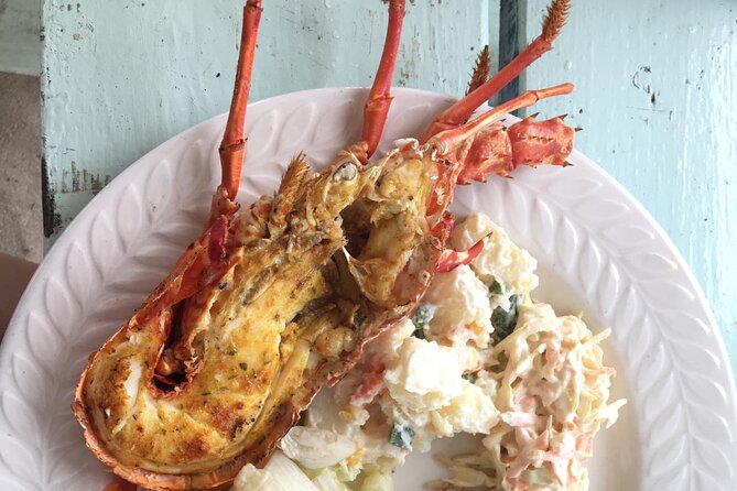 Turtles Beach Snorkeling - Overview