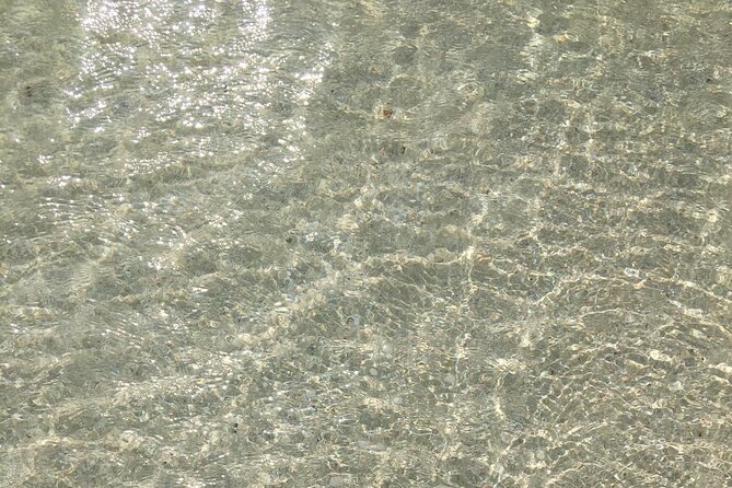 Turtles Beach Snorkeling - Pickup Details