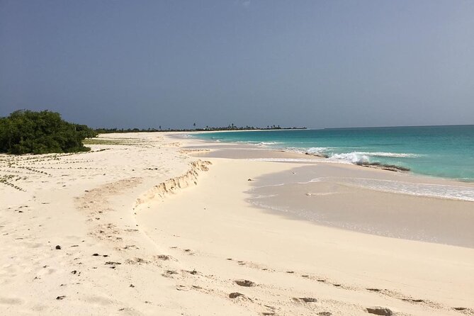 Turtles Beach Snorkeling - Additional Information