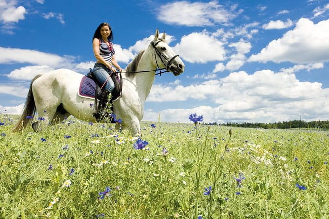 Tuscan Chianti Hills Horseback Riding Tour - Meeting Point and Pickup