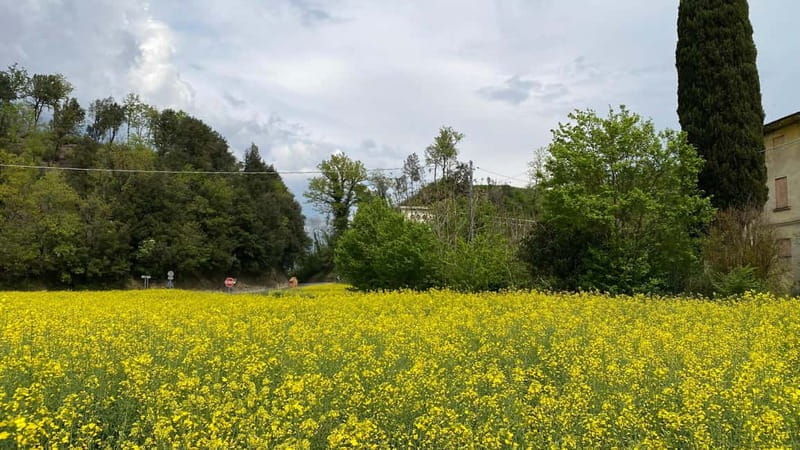 Tuscan Villages and Chianti Wine from Livorno - Setting Out from Livorno: The Perfect Starting Point