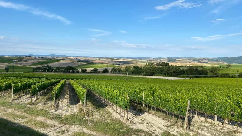 Tuscan Villages and Chianti Wine from Livorno - An Off-the-Beaten-Path Winery and Tuscan Lunch