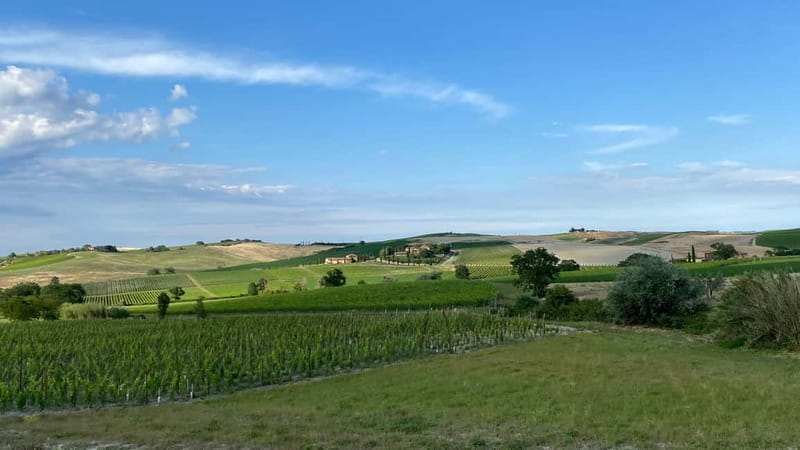 Tuscan Villages and Chianti Wine from Livorno - Who Is This Tour Best For?