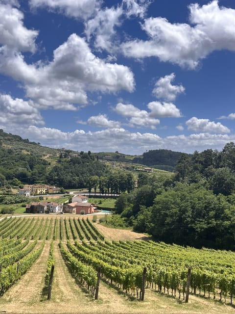 Tuscan Wine Tour by van from Lucca - Final Thoughts