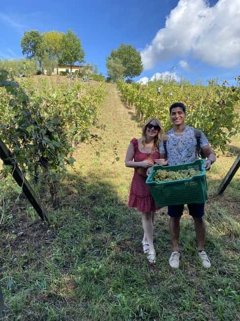 Tuscan Wine Tour by van from Pisa - Who Should Consider This Tour?