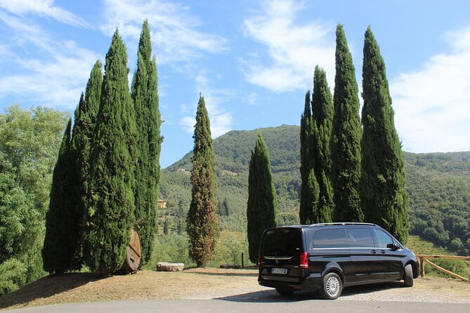 Tuscan Wine Tour in Lucca by van - An In-Depth Look at the Tuscan Wine Tour from Lucca
