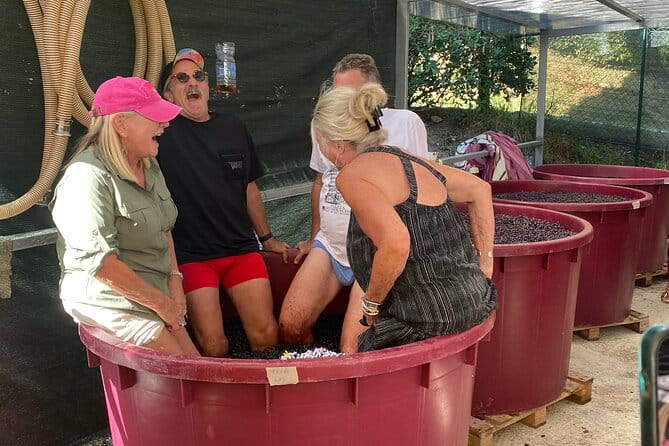 Tuscan Wine Tour in Pisa by van - Value and Practical Tips