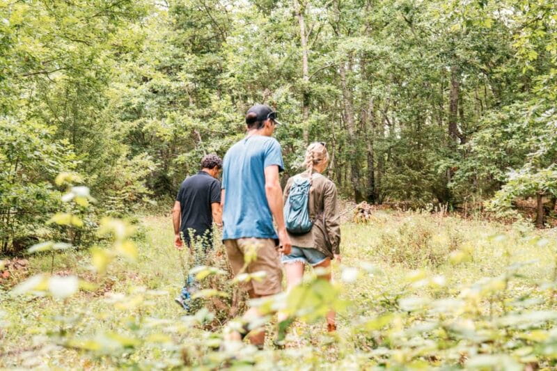 Tuscany: Agro Trekking with Wine and Olive Oil Tasting - Final Thoughts