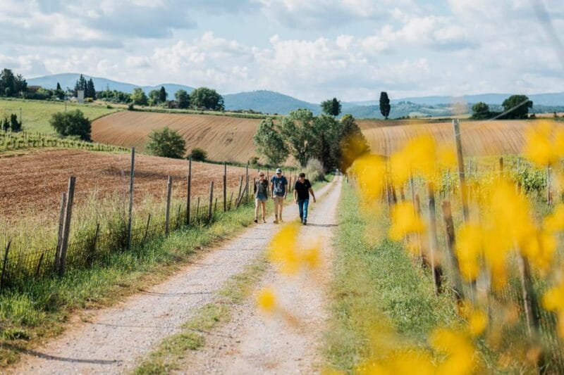 Tuscany: Agro Trekking with Wine and Olive Oil Tasting - Frequently Asked Questions