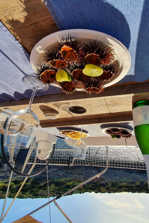 Tuscany: Argentario Archipelago Sailing Day Trip - FAQ