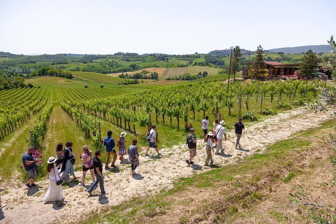 Tuscany Day Trip From Florence: Siena, San Gimignano, Pisa and Lunch at a Winery - Chianti Wine Region Experience