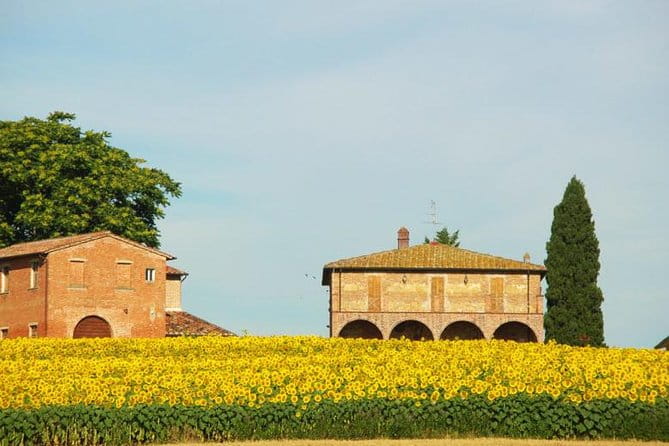 Tuscany from Rome , Montepulciano & Pienza with wine tasting and Lunch included - Wine Tasting & Local Lunch: A Genuine Taste of Tuscany