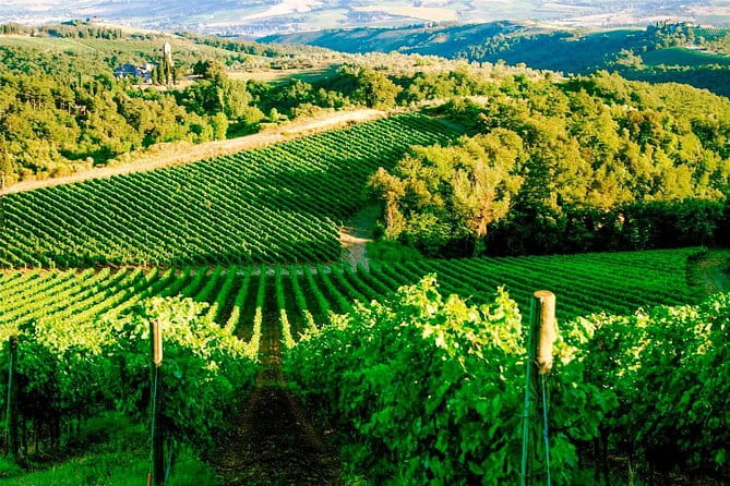 Tuscany from Rome , Montepulciano & Pienza with wine tasting and Lunch included - Who Should Consider This Tour?