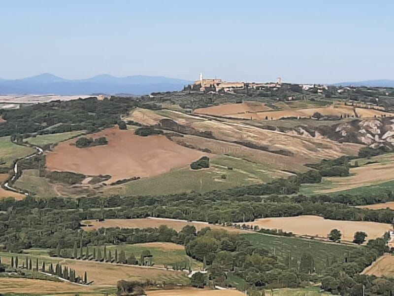 Tuscany from Rome- Pienza and Montepulciano private day tour - Key points / Takeaways