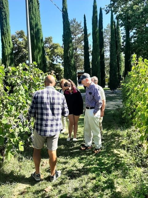 Tuscany from Rome- Pienza and Montepulciano private day tour - FAQ