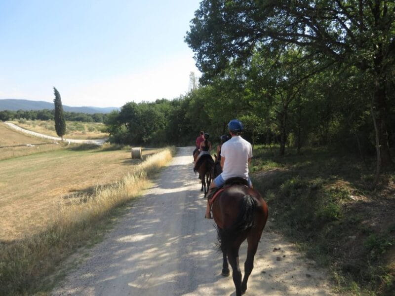 Tuscany: Horseback Riding Adventure with Lunch in a Winery - Key points / Takeaways