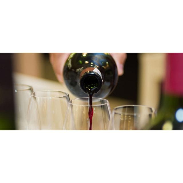 Tuscany: Truffle Hunting and Meal at a Winery - Entering Tuscany’s Truffle World