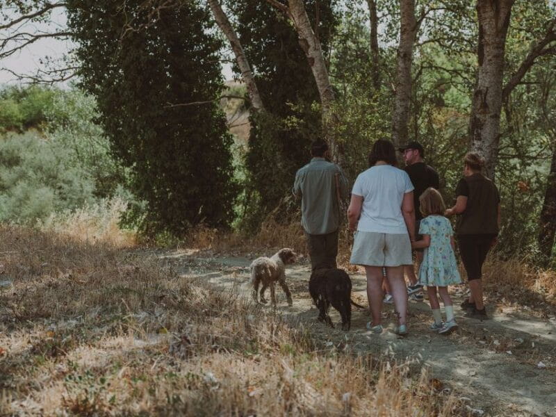 Tuscany: Volterra Truffle Hunting with Lunch or Dinner - Who Will Enjoy This Experience?
