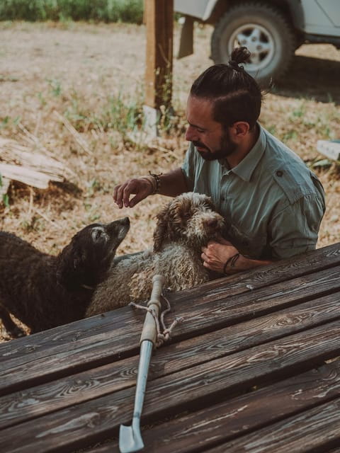 Tuscany: Volterra Truffle Hunting with Lunch or Dinner - Price and Value Analysis