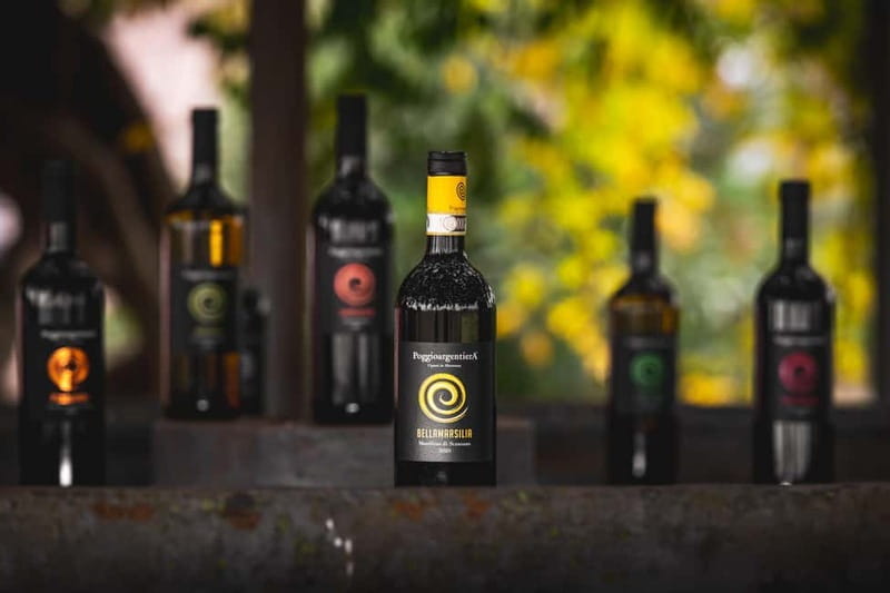 Tuscany: Wine Tasting Experience - Key Points / Takeaways