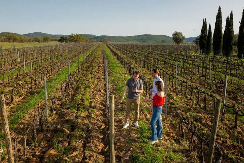 Tuscany: Wine Tasting Experience - Why This Experience Is Valuable for Travelers