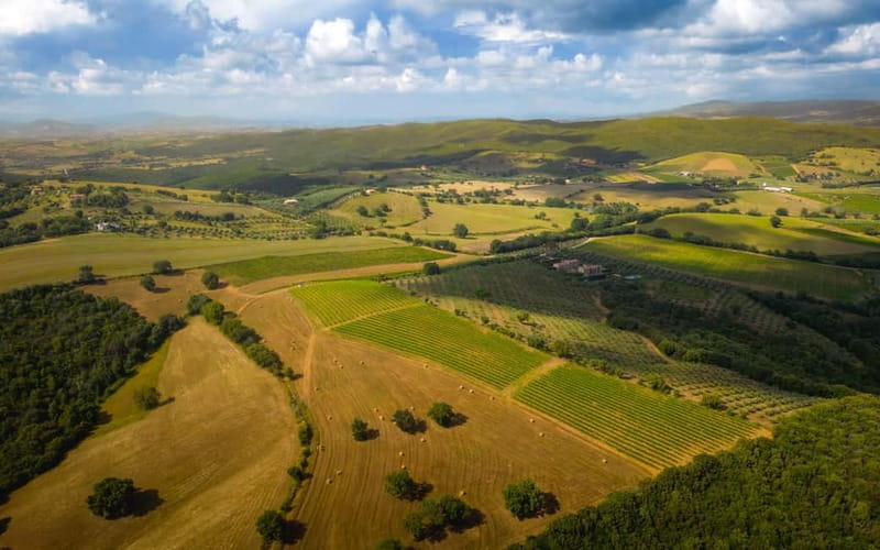 Tuscany: Wine Tasting Experience - Who Should Consider This Tour?