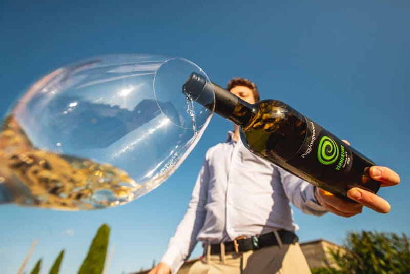 Tuscany: Wine Tasting Experience - Price and Logistics: Good Balance of Cost and Experience