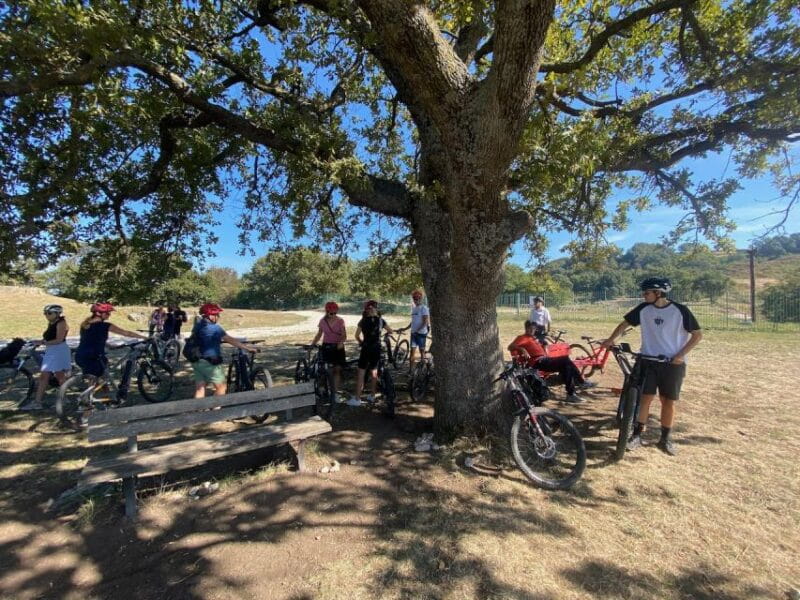 Tuscolo experience in ebike - Who Is This Tour Best For?