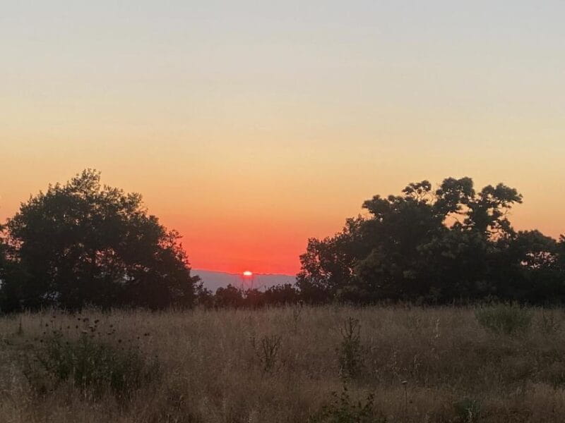 Tuscolo experience in ebike - Practical Details: Booking, Timing, and Logistics