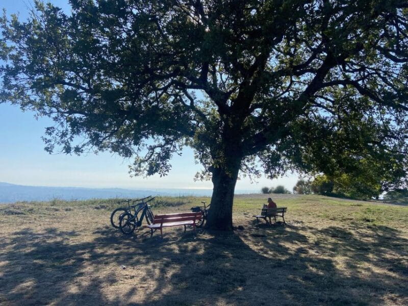 Tuscolo experience in ebike - Final Thoughts: Is This Tour Worth It?