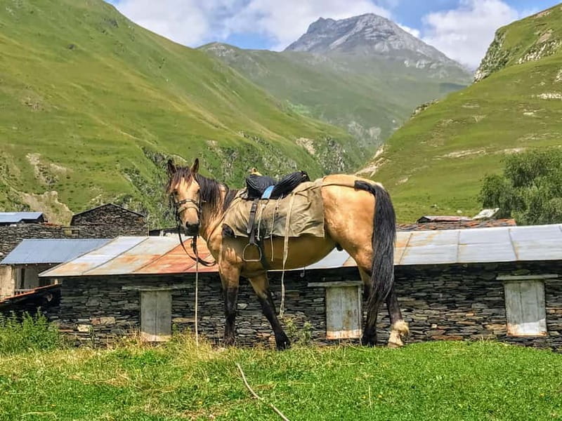 Tusheti Thrill: Limited-Time Mountain Escape 3 day tour - Key points / Takeaways
